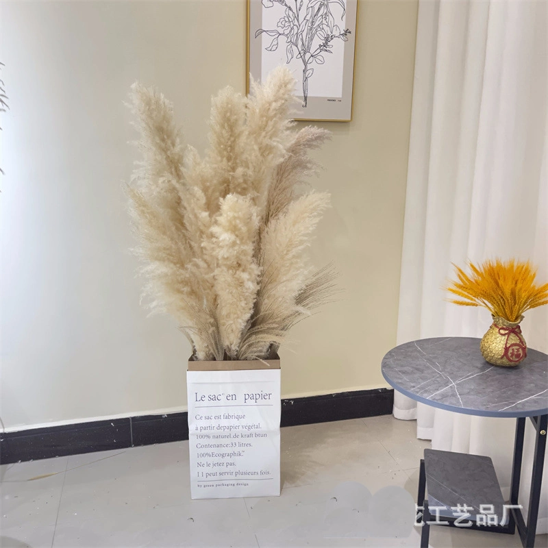 Real Natural Dried Flower Pampas Grass for Home Decor 009